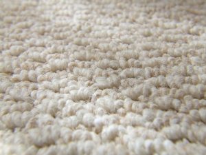 Carpet Repair Scottsdale